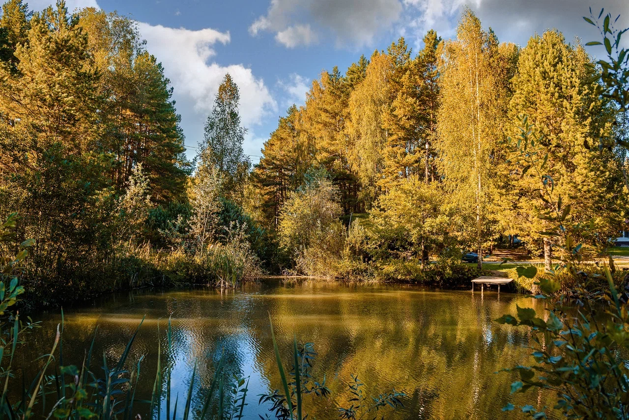 Осенняя общая